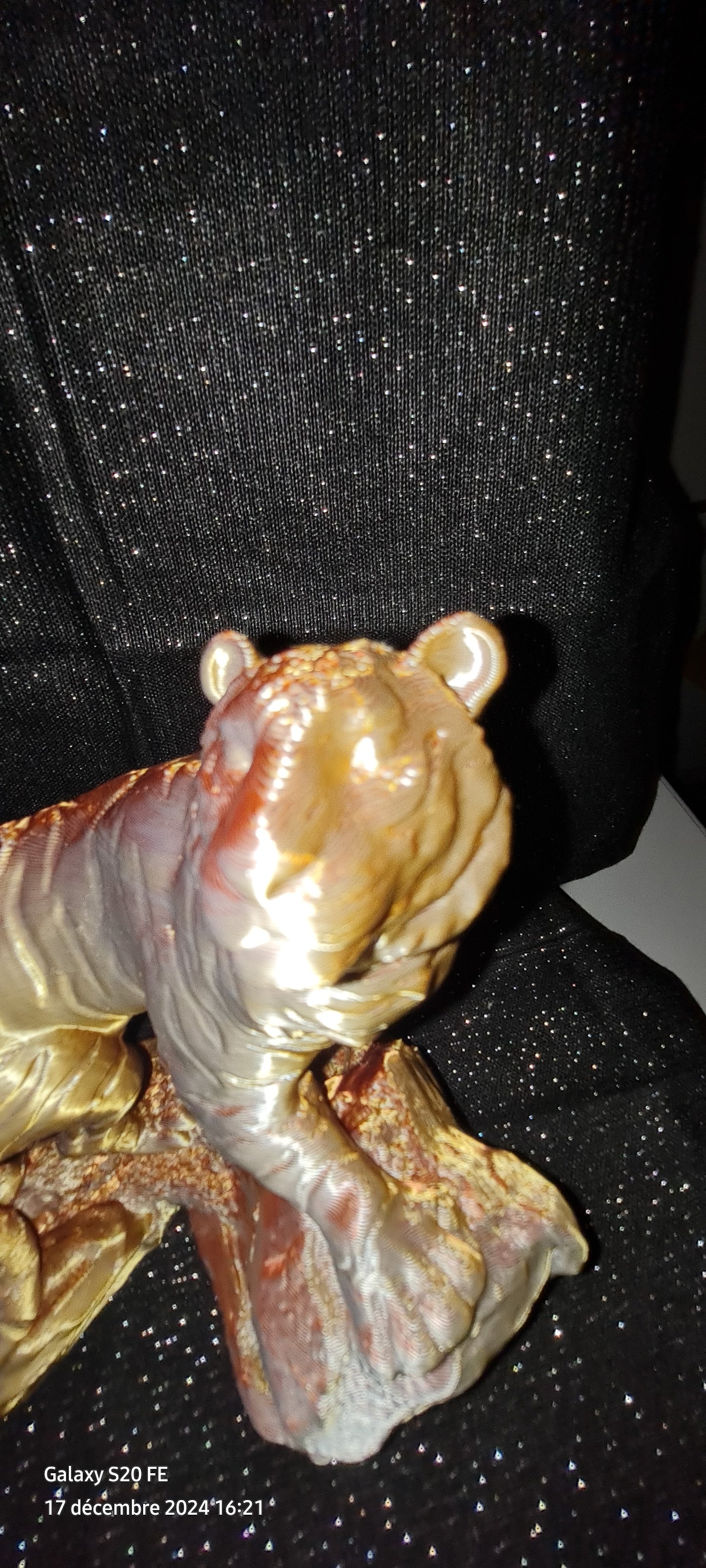 Tigre multicolore