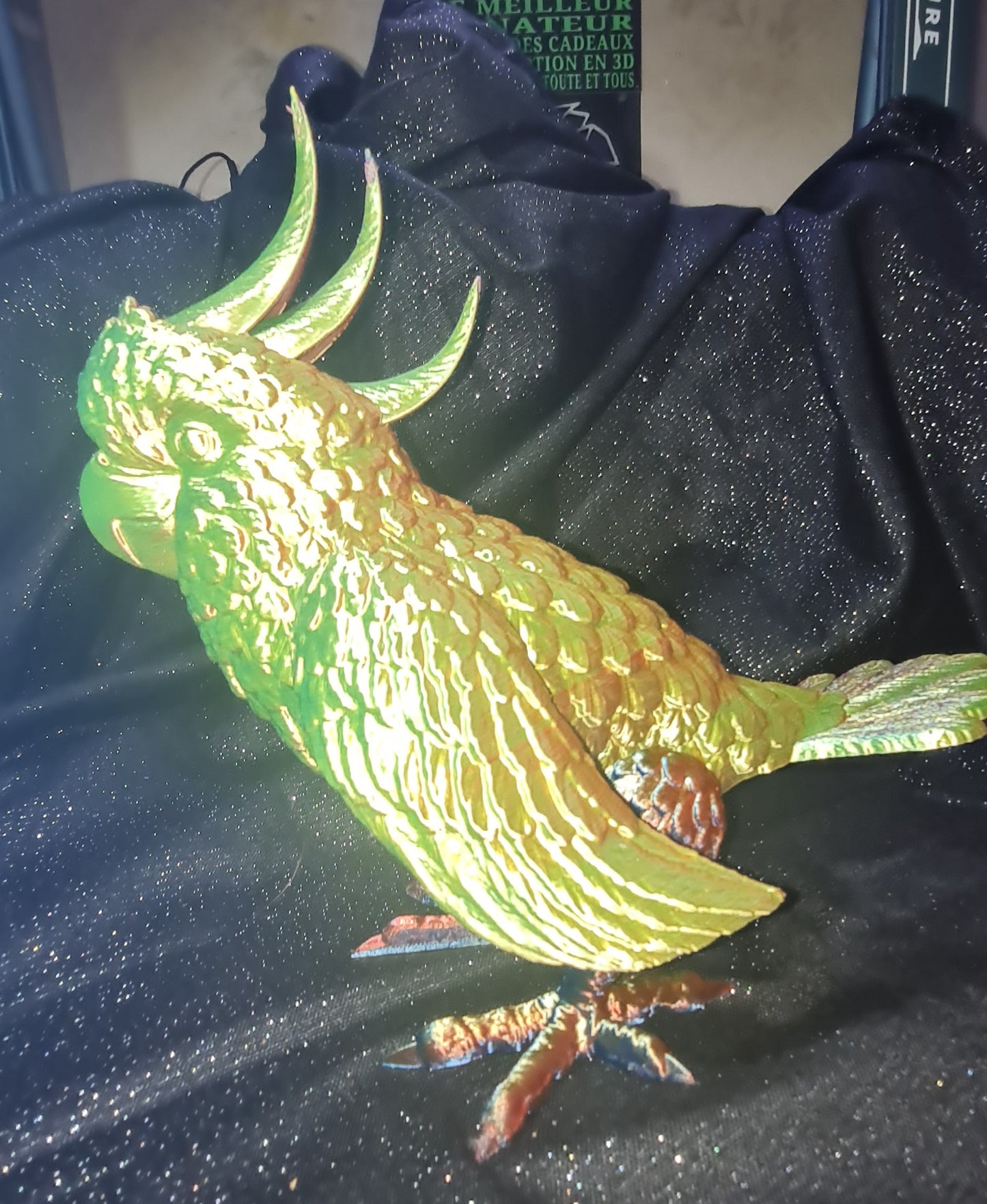 Magnifique perroquet multicolore