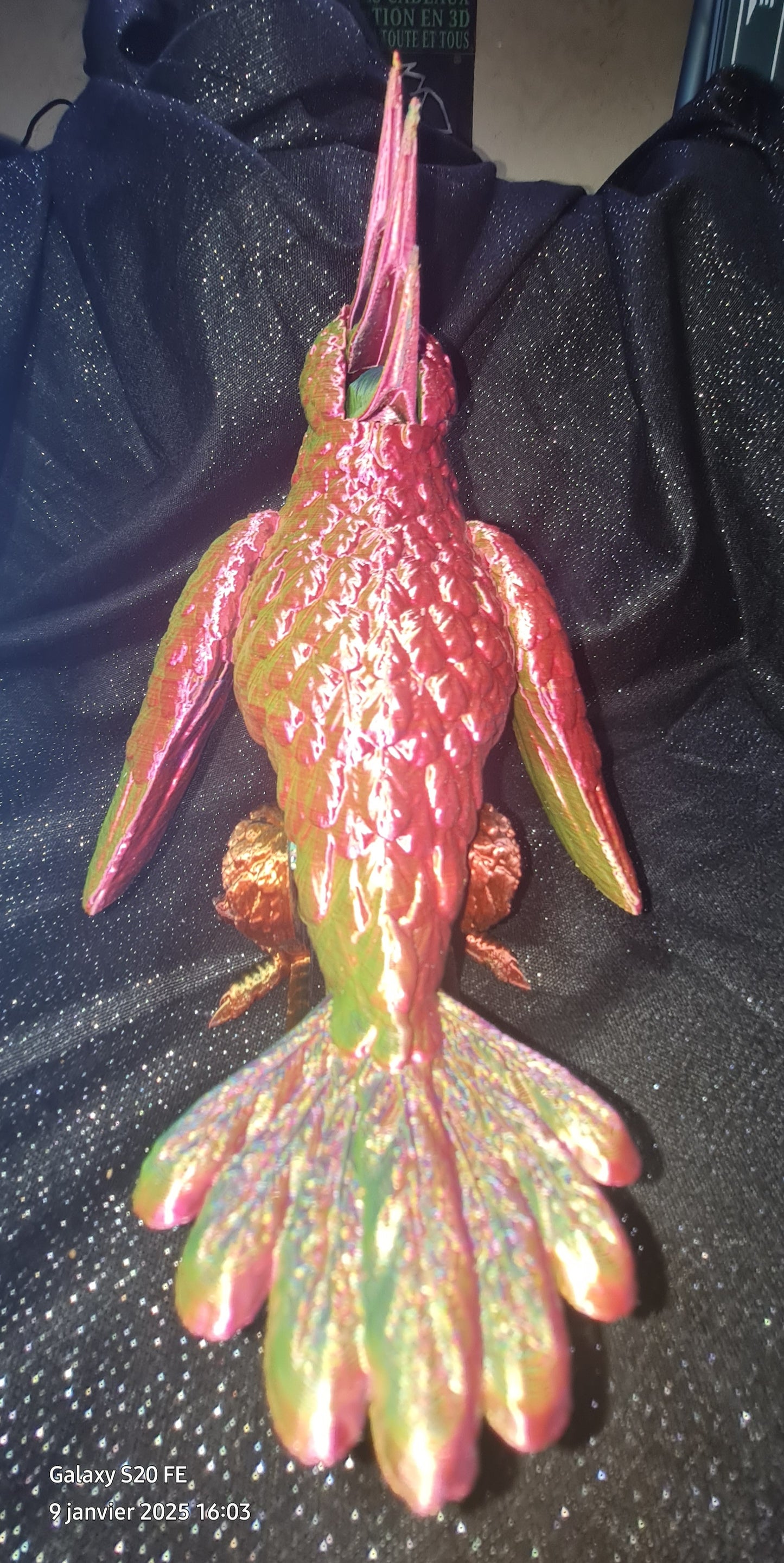 Magnifique perroquet multicolore