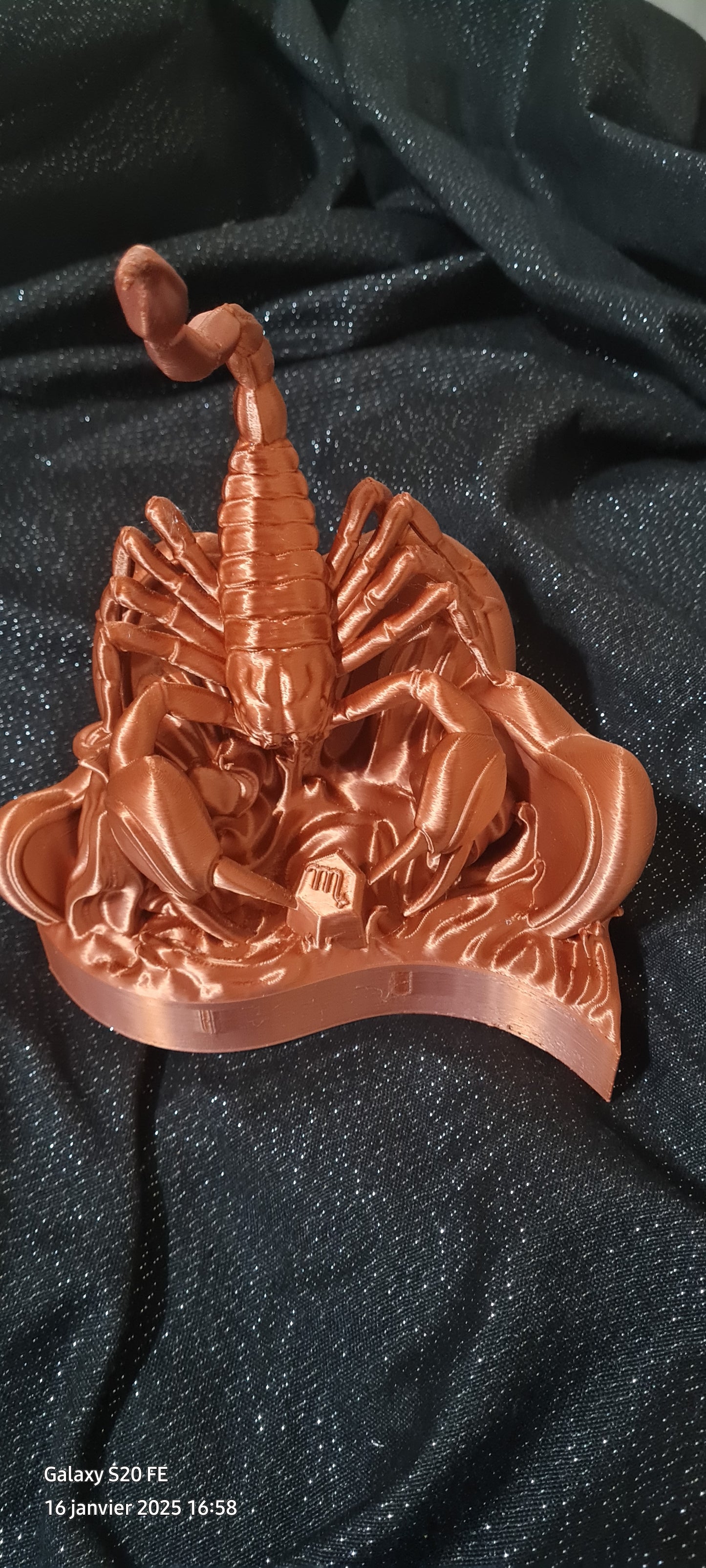 Saint valentin scorpion