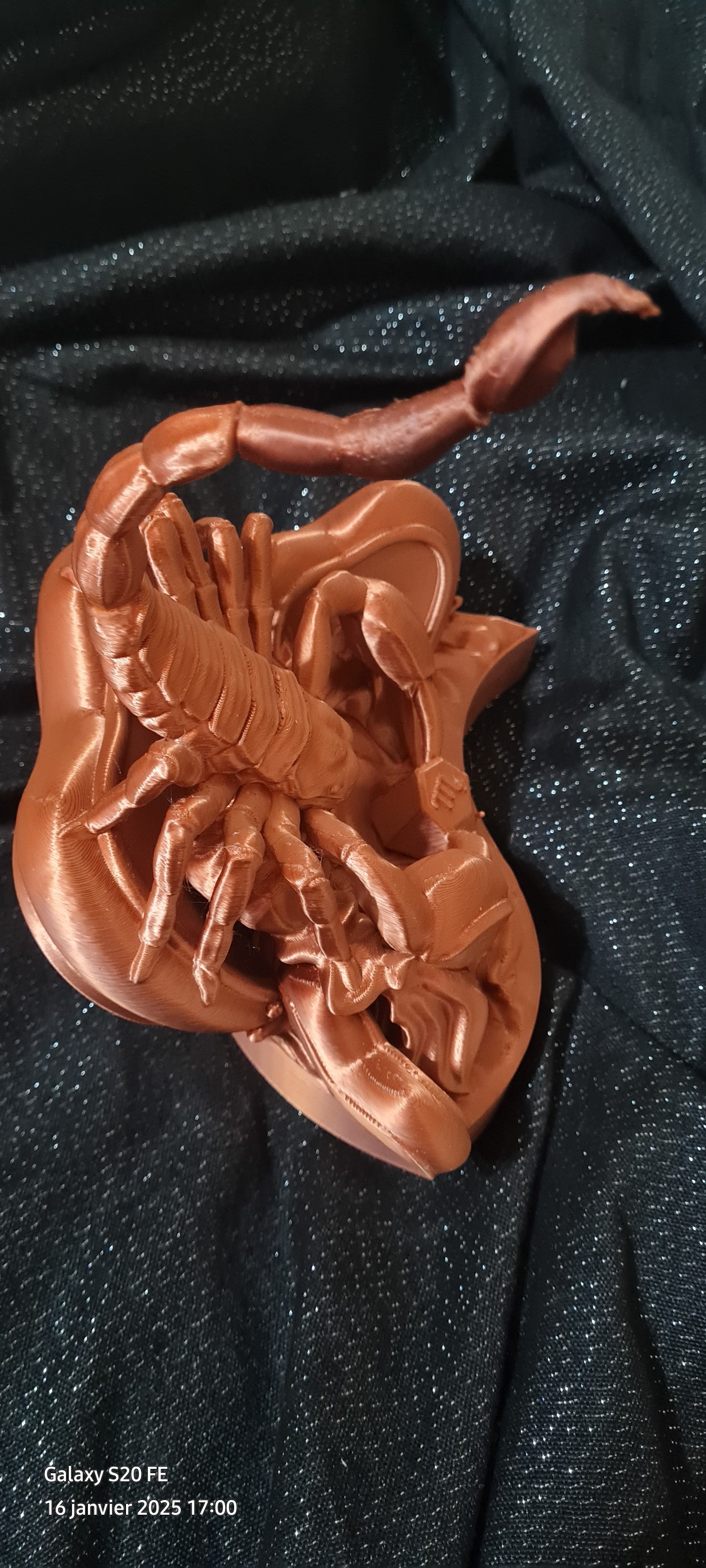 Saint valentin scorpion