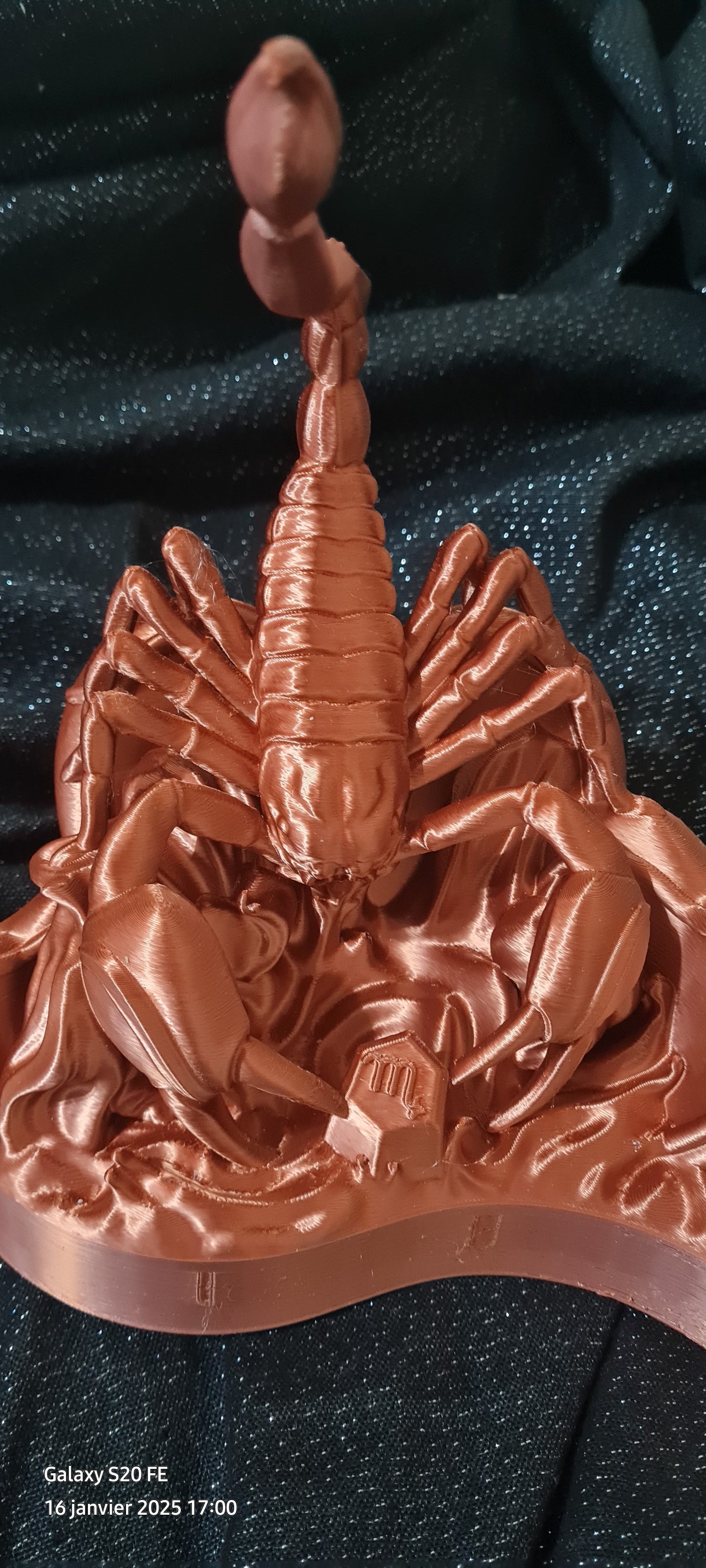 Saint valentin scorpion