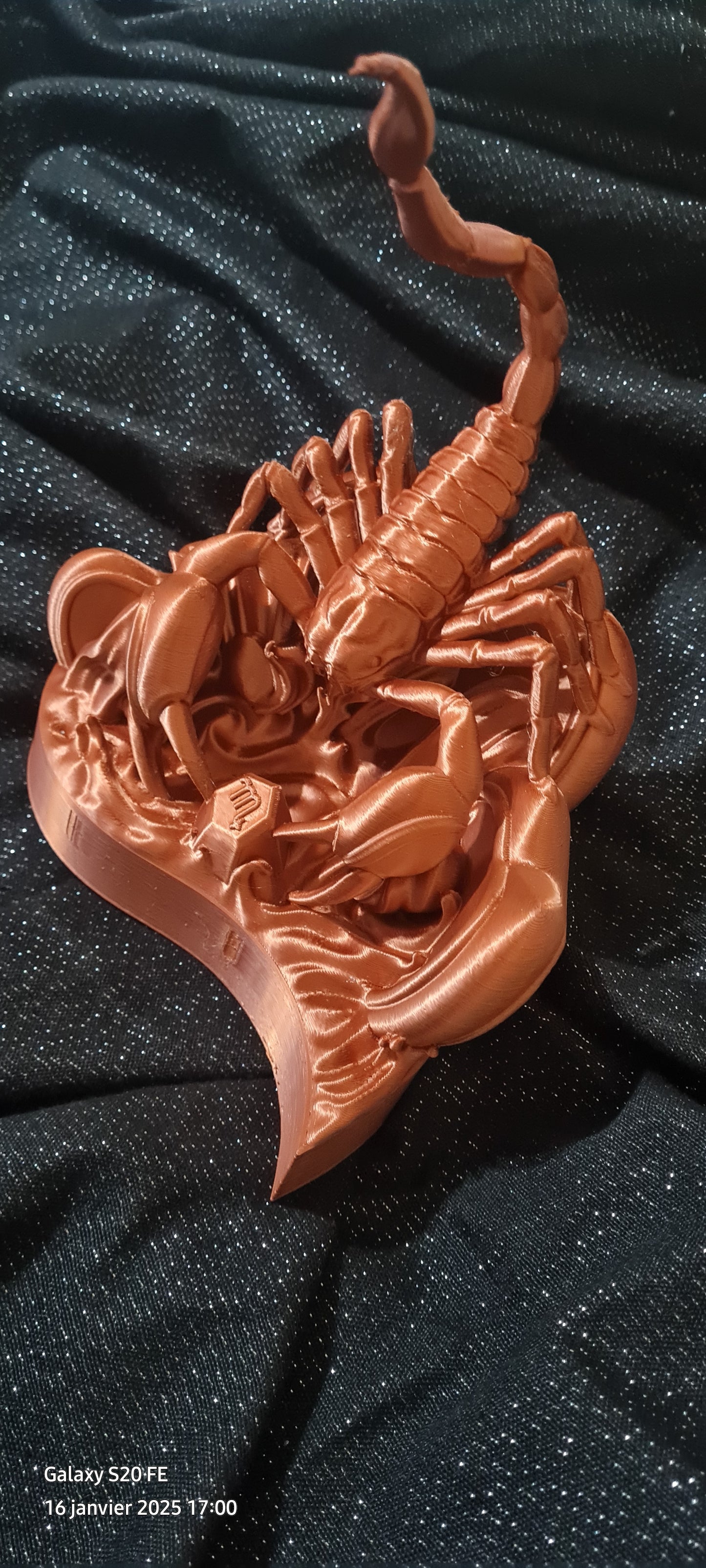 Saint valentin scorpion