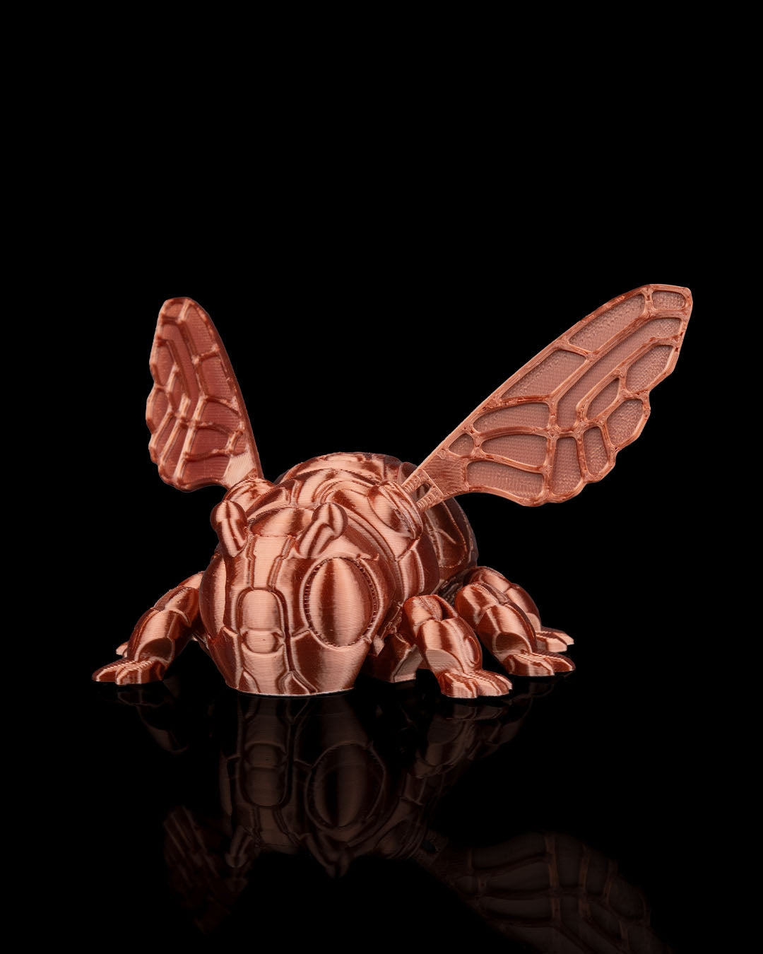 Insecte articulé