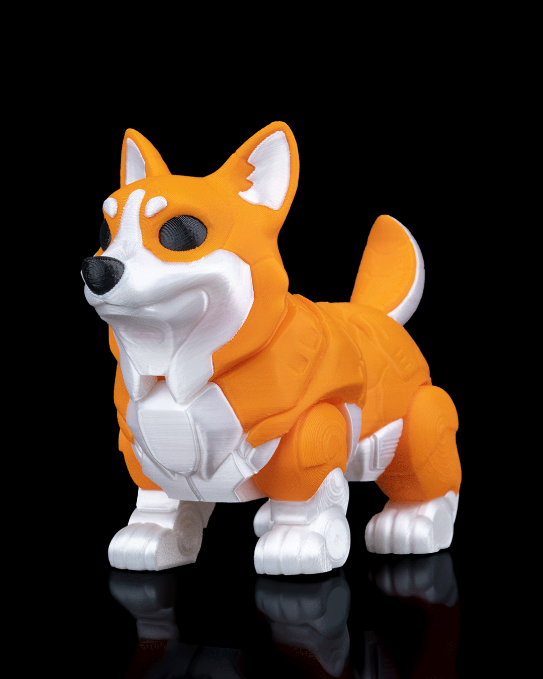 Chien