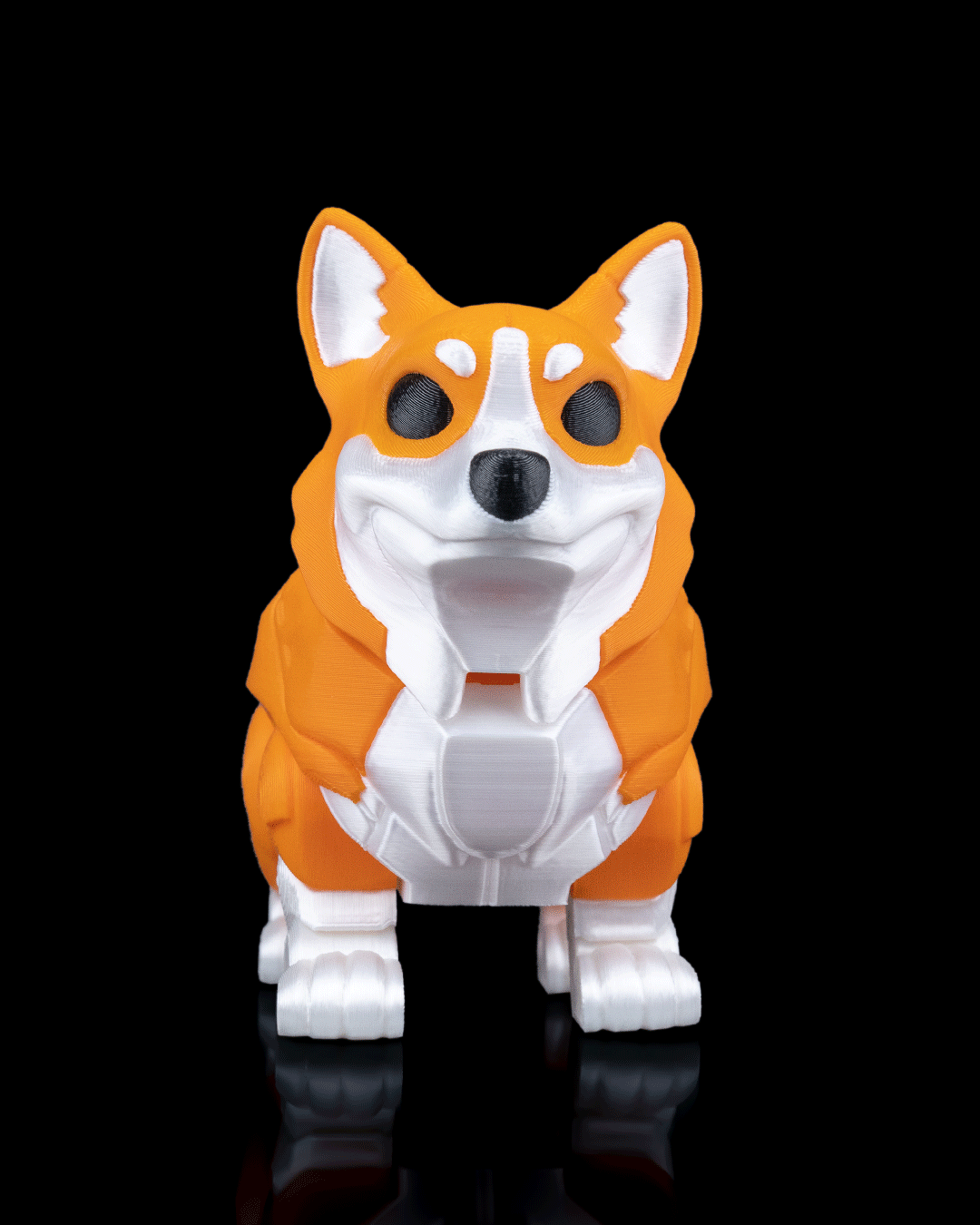 Chien
