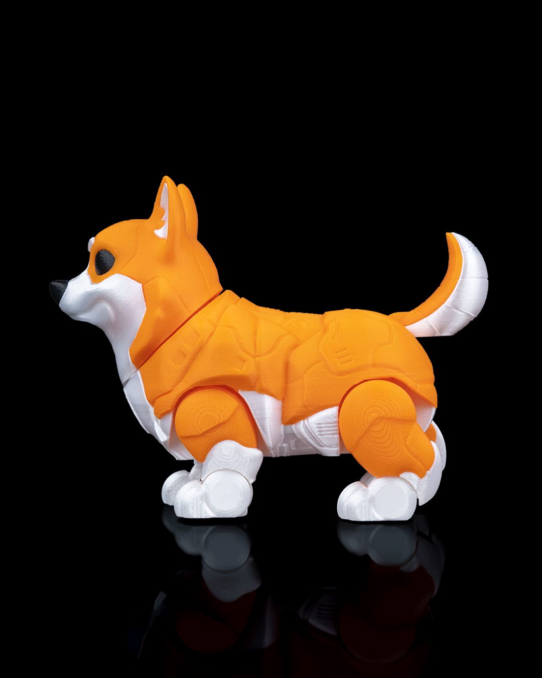 Chien