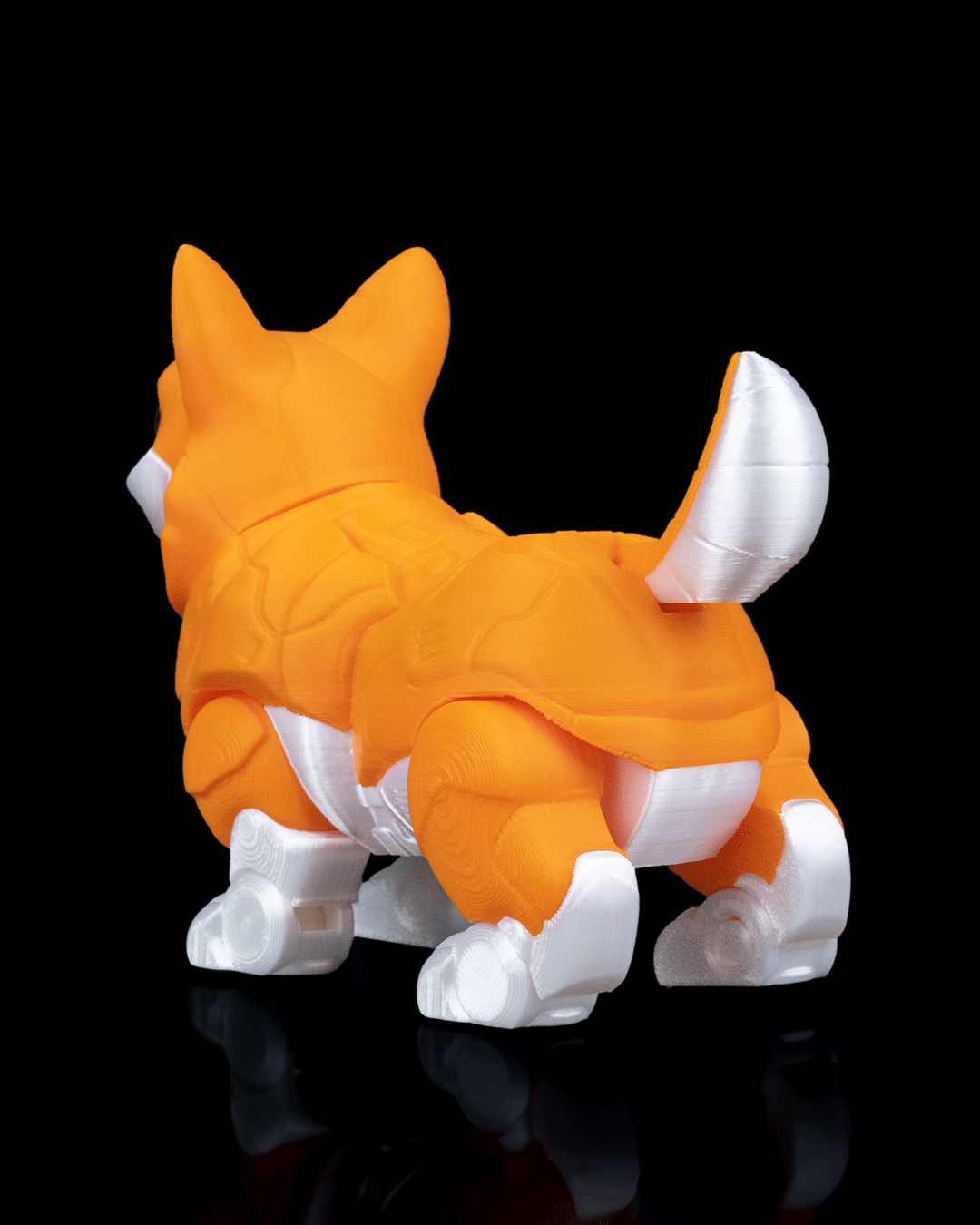 Chien