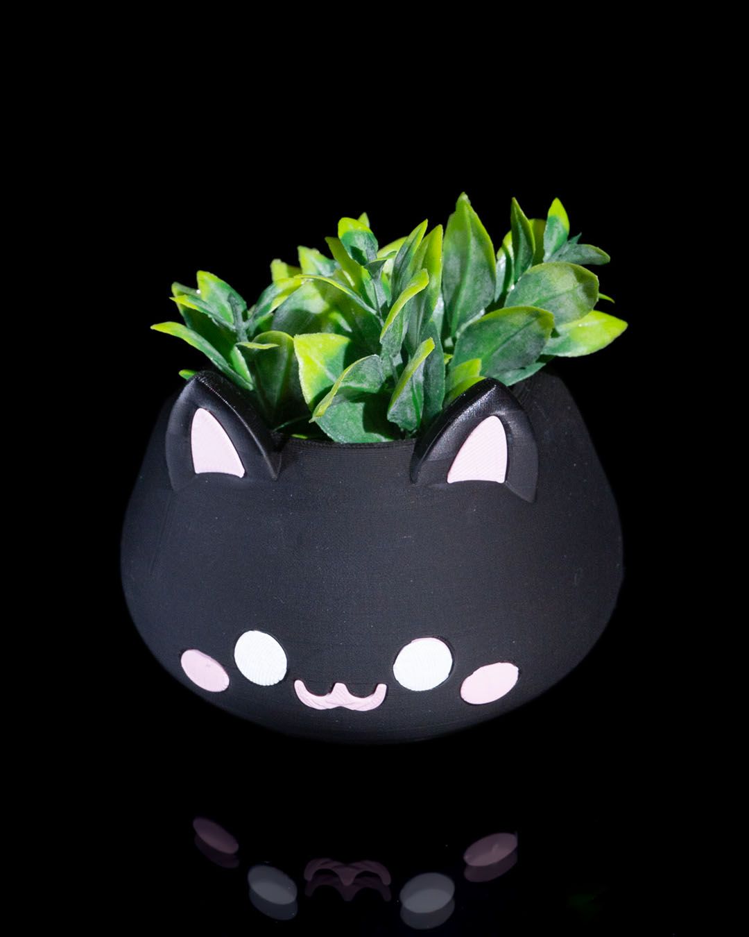Vase chat