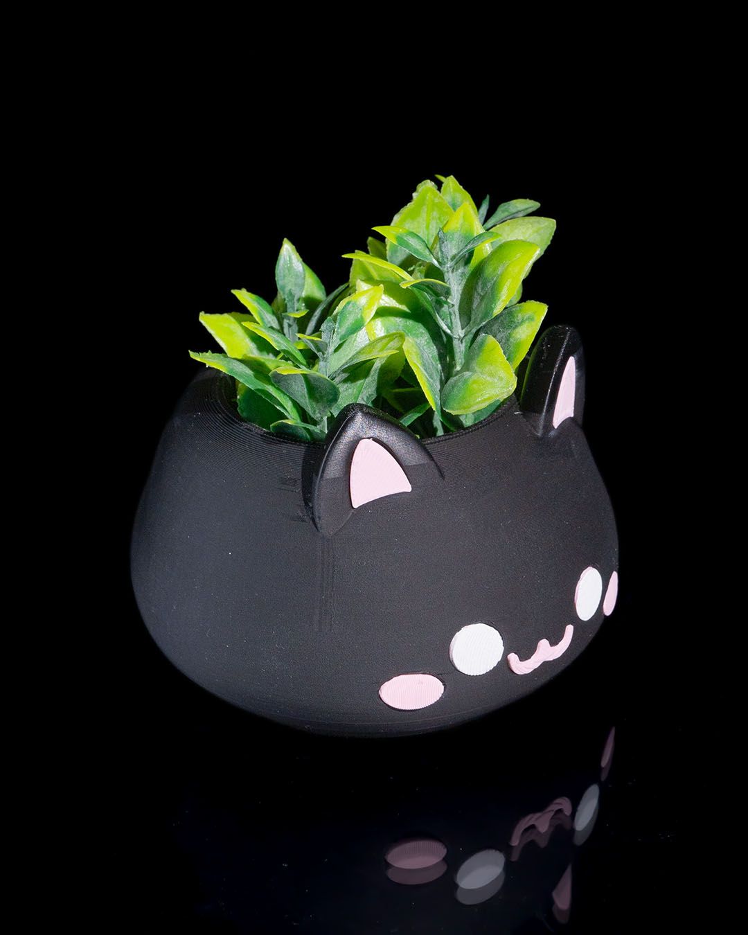 Vase chat