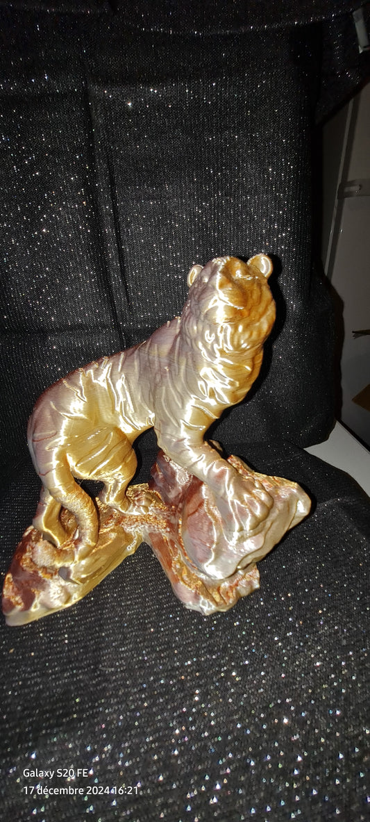 Tigre multicolore