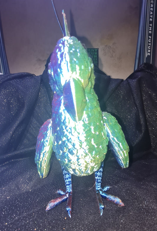 Magnifique perroquet multicolore