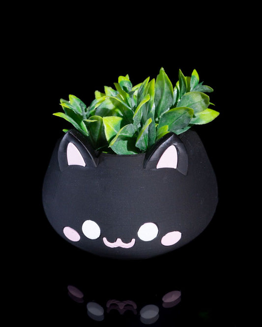 Vase chat